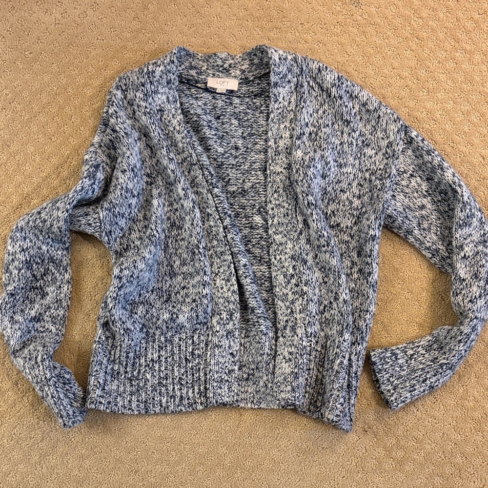 LOFT Blue and White Marled Cardigan